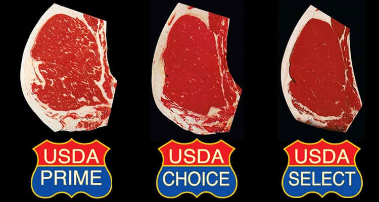 USDA Beef Grading System