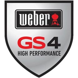 GS4 Logo