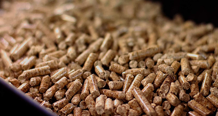 10 Best Wood Pellets for BBQ Smoking in 2023