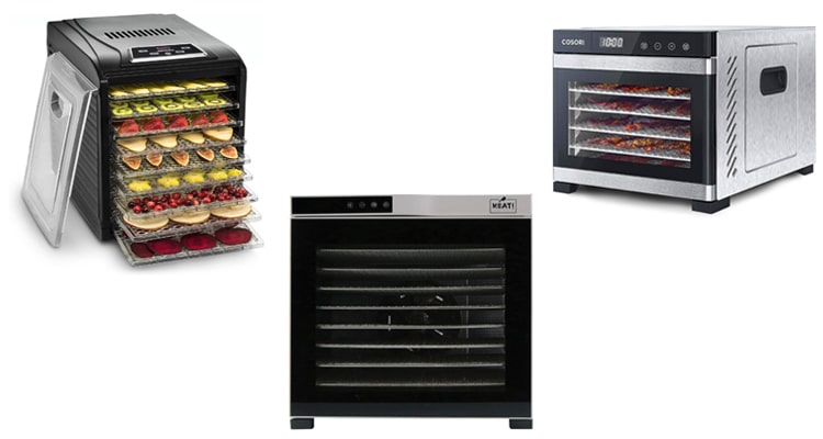10 Best Food Dehydrator Machines for 2023